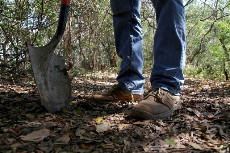 Hallan restos de al menos 16 personas en fosas clandestinas de San Luis Potosí