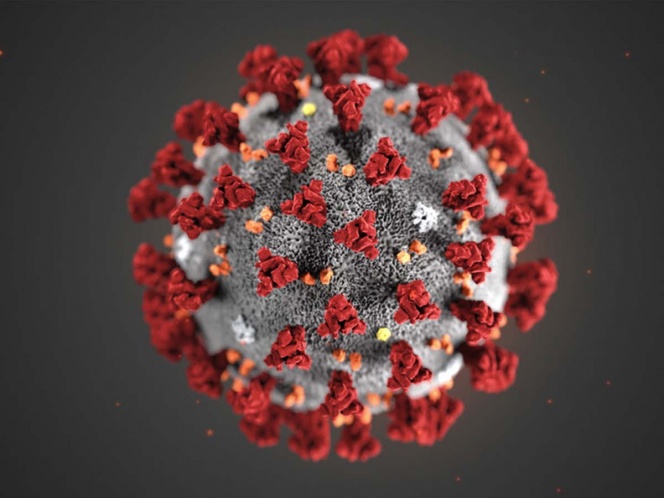 ¿El coronavirus ya es una pandemia? Aquí te explicamos