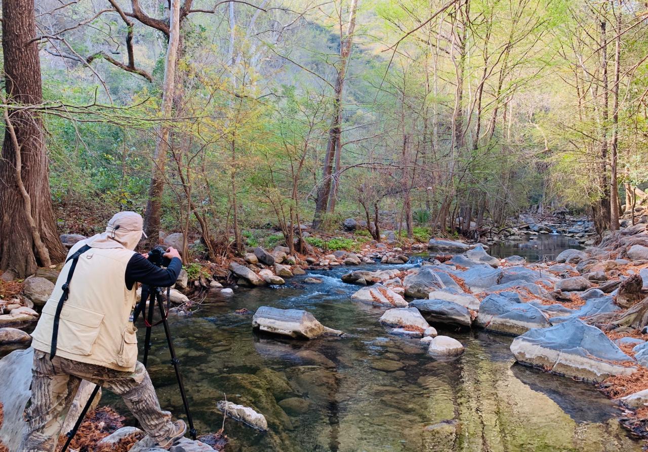 Será Tamaulipas sede del Primer Congreso Internacional de Fotografía de Naturaleza