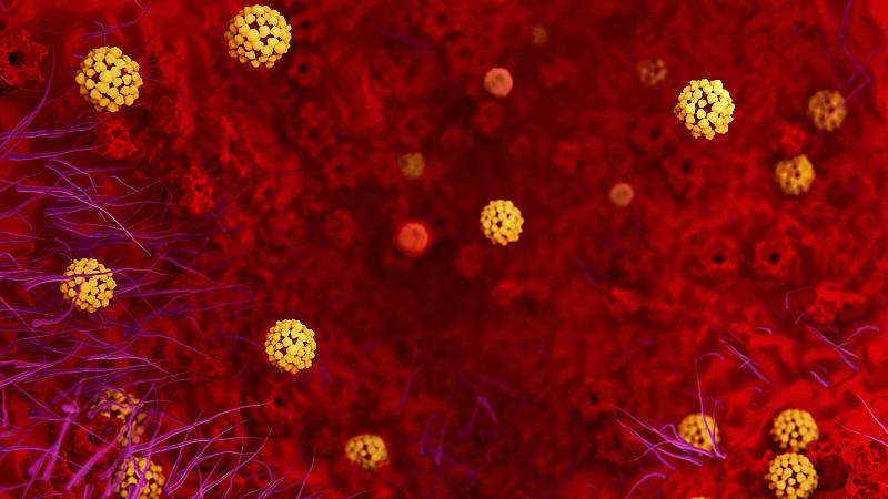 Alarma en Ciudad Victoria probable portador de coronavirus que se movió entre la gente