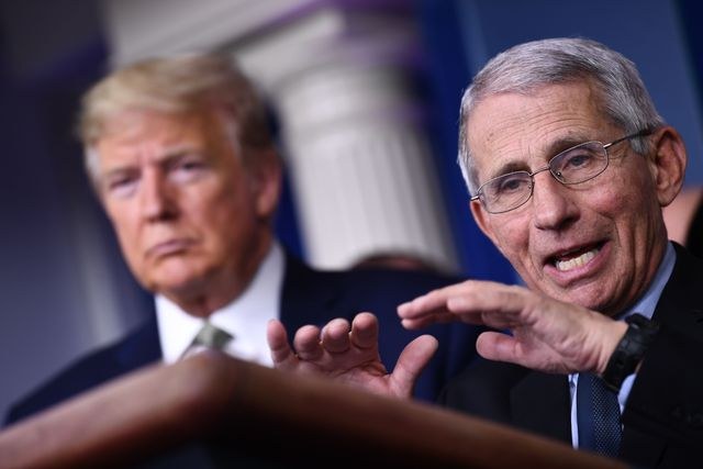 Prevé asesor de Trump  hasta 200 mil posibles muertes por coronavirus en EU
