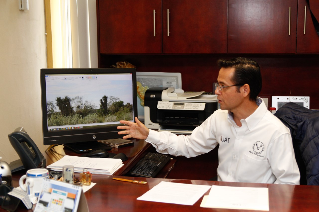 Publican libro Plantas del Matorral Espinoso Tamaulipeco en México