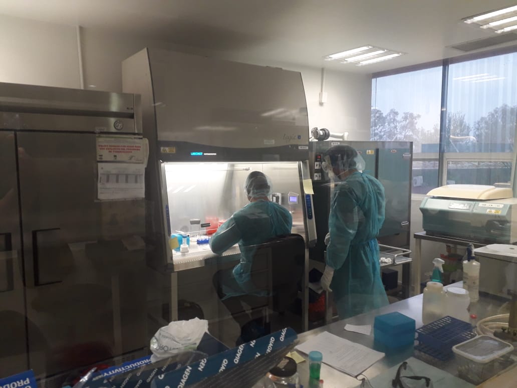 Hay 12 nuevos casos sospechosos a COVID-19 en Tamaulipas;  4 son de Victoria