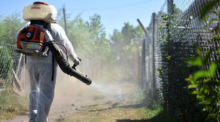 Descartan que por descuido haya brotes de dengue hemorrágico en Tamaulipas