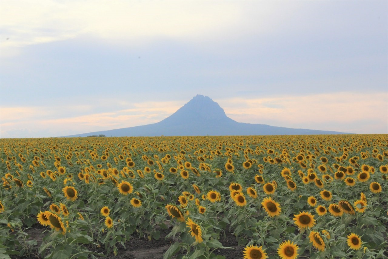 Turismo de Tamaulipas visualiza futura reapertura sostenible y solidaria