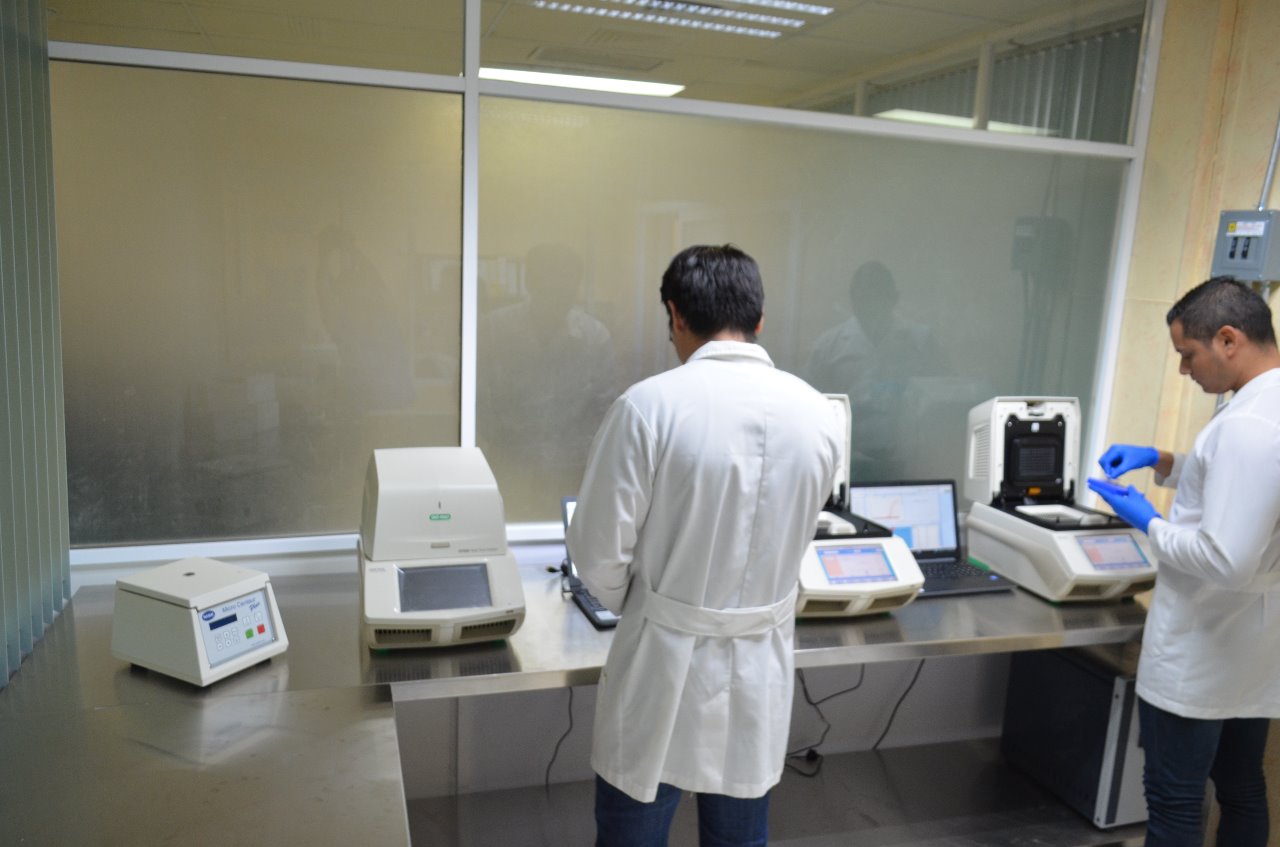 Confirma Salud 17 nuevos casos de COVID-19 en Tamaulipas y un muerto más en Madero