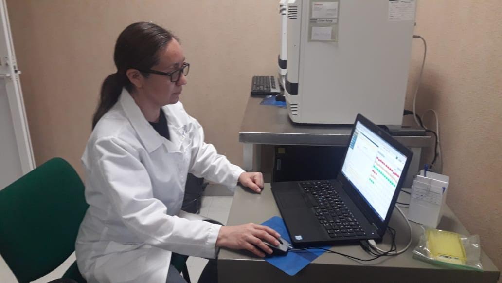 Último corte de sábado en Tamaulipas: 7 fallecimientos y 101 nuevos positivos a Covid-19