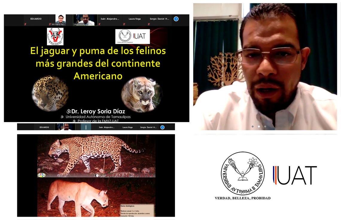 Científicos de la UAT contribuyen a la conservación del jaguar en Tamaulipas