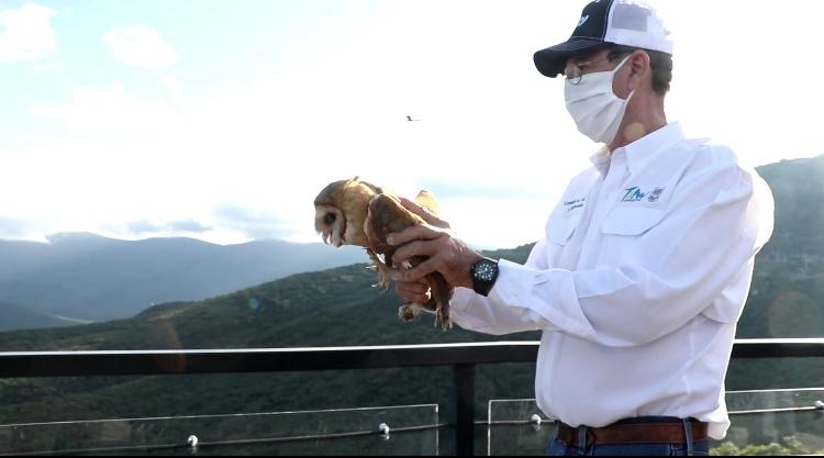 La Comisión de Parque y Biodiversidad libera lechuzas en Camino Real a Tula