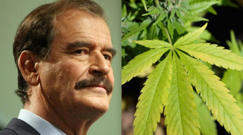 Dice Fox que es tiempo de legalizar uso de ‘esa maravillosa planta de la mariguana’
