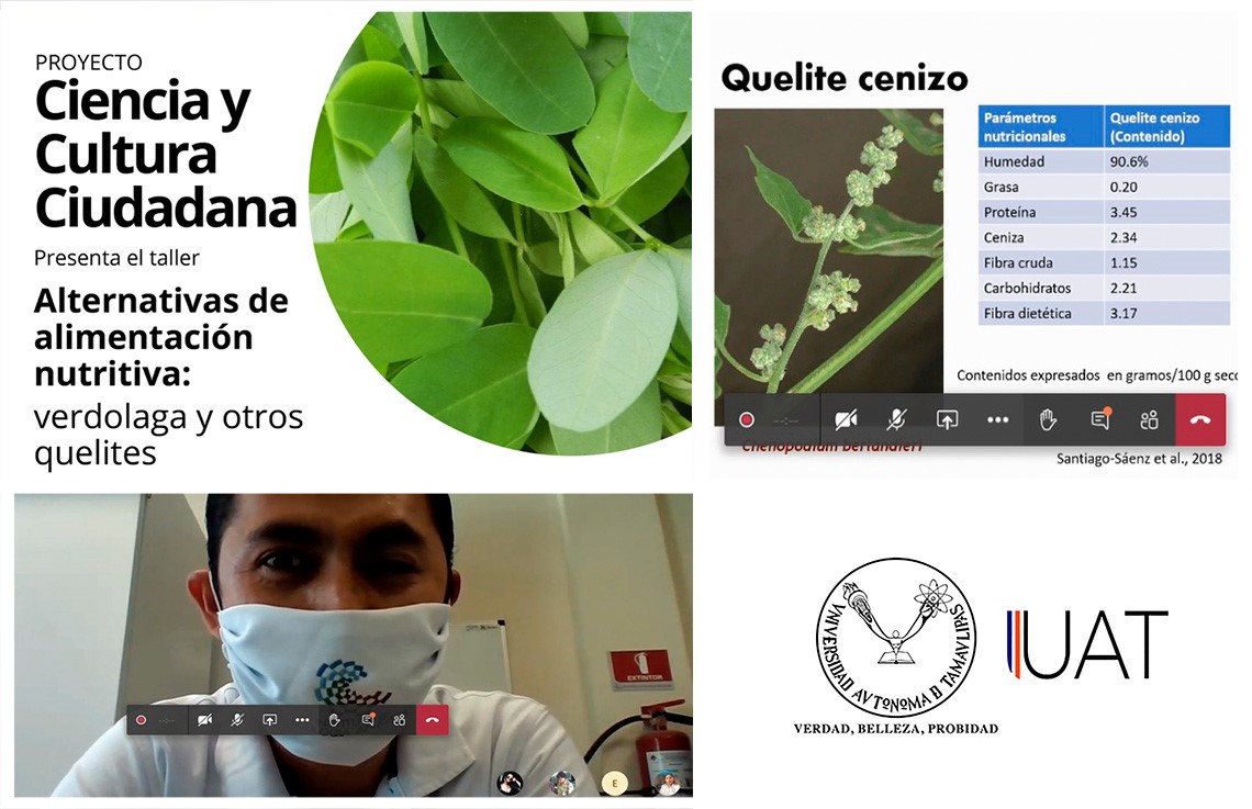 Destacan investigadores de la UAT importancia de  alimentación con verduras alternativas