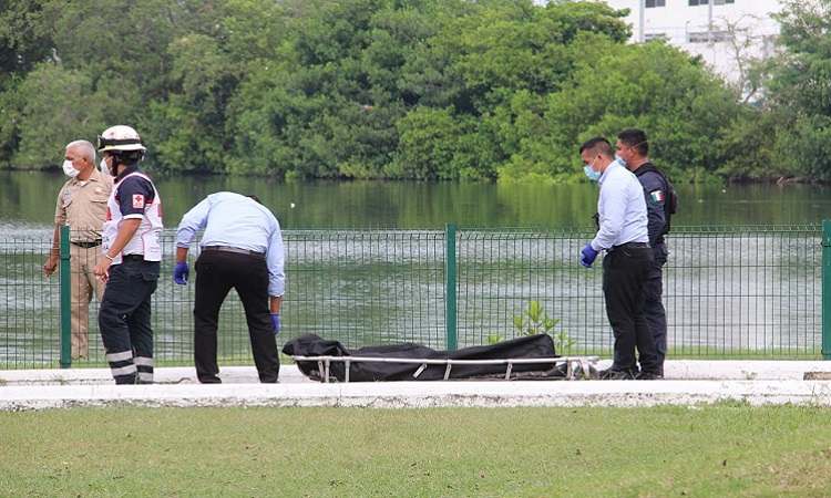 Cocodrilo ataca y mata  a desconocido en la Laguna del Carpintero de Tampico