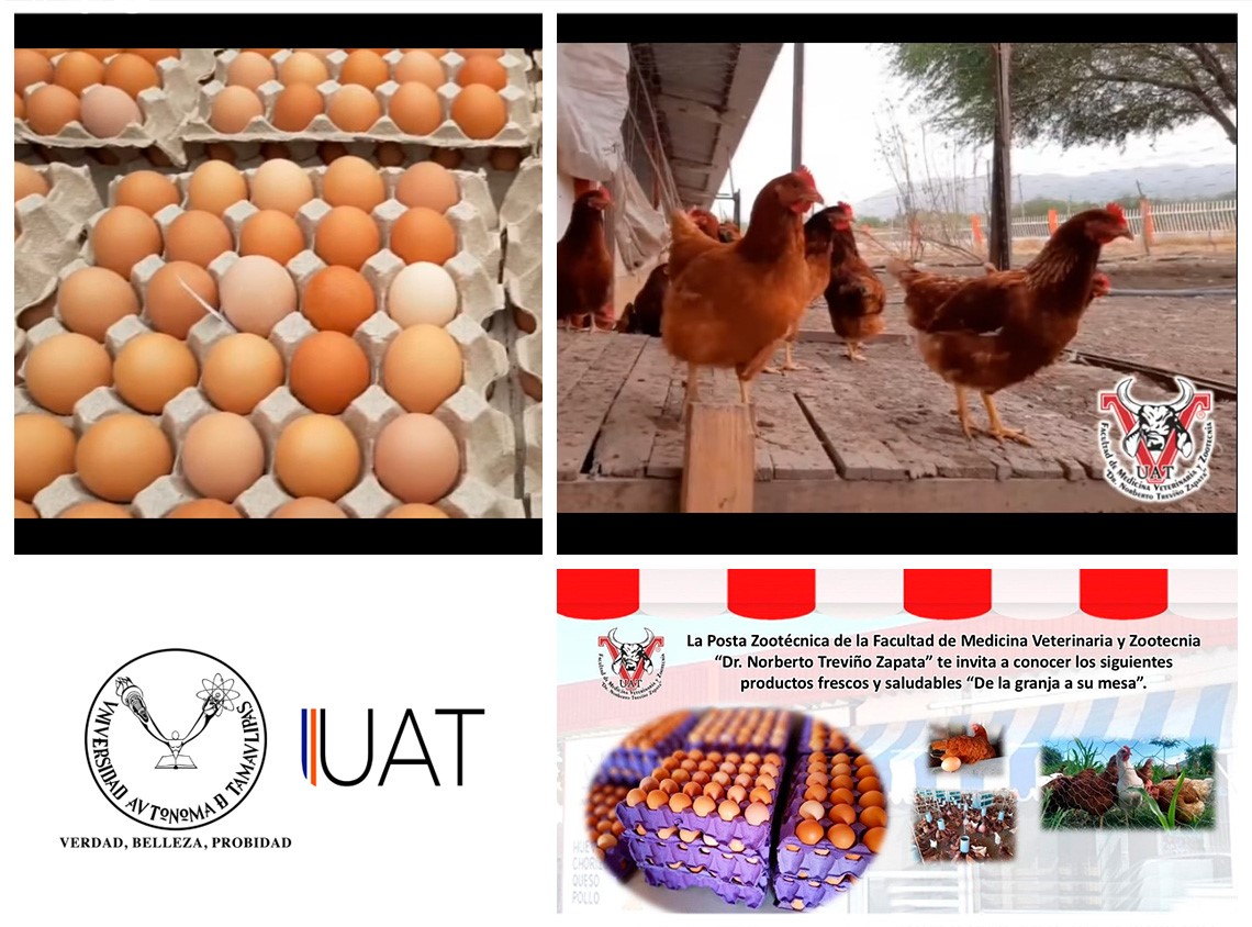 Promueve FMVZ -UAT tienda de productos frescos y saludables ‘de la granja a su mesa’