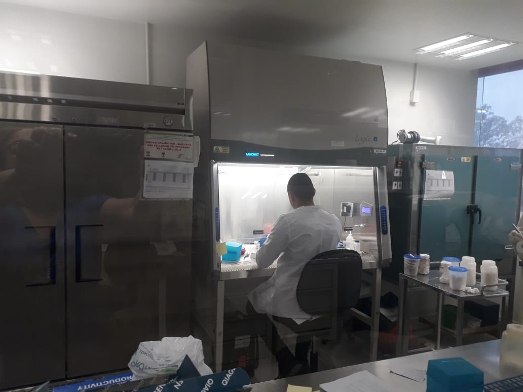 Vive Tamaulipas miércoles negro: 33 muertes y 317 nuevos contagios lo constatan