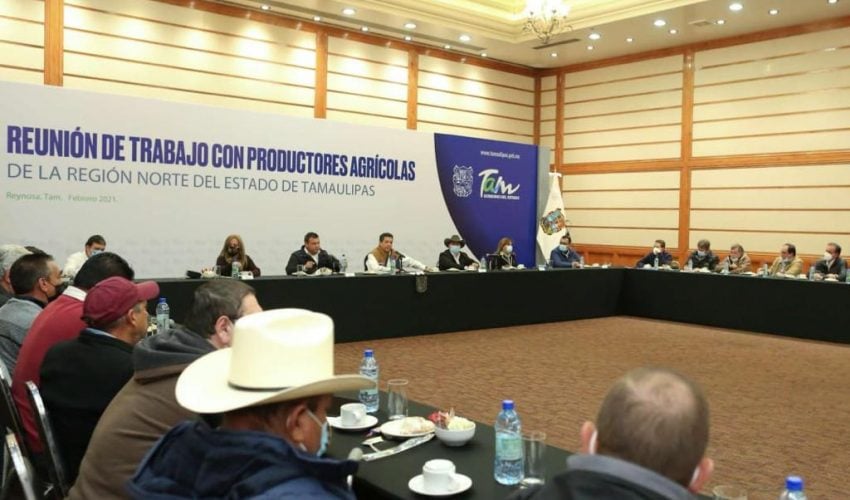 Gobierno de Francisco García Cabeza de Vaca apoyará a productores afectados por heladas