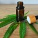 Prevén aumento de trastornos siquiátricos con legalización de cannabis