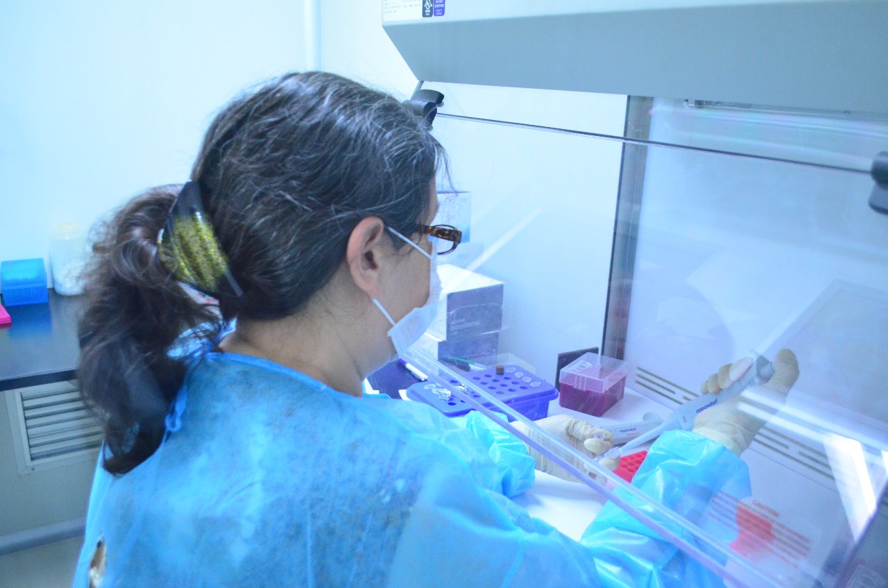 Confirman este miércoles 74 nuevos contagios de Covid-19 y 14 decesos en Tamaulipas