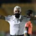 ‘Es definitivo, me voy terminando la temporada’: ‘Tuca’ Ferretti