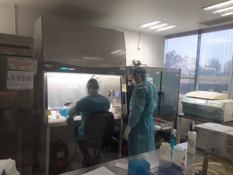Covid-19 en Tamaulipas: 43 nuevos contagios y 5 muertes en las últimas 24 horas