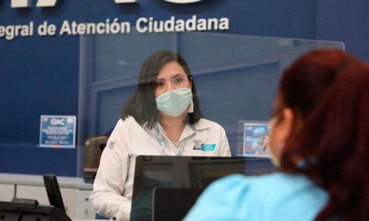Reportes de árboles caídos deberán atenderse  en 24 horas