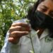 El gobierno de Tamaulipas reforestará la zona costera con mangle negro