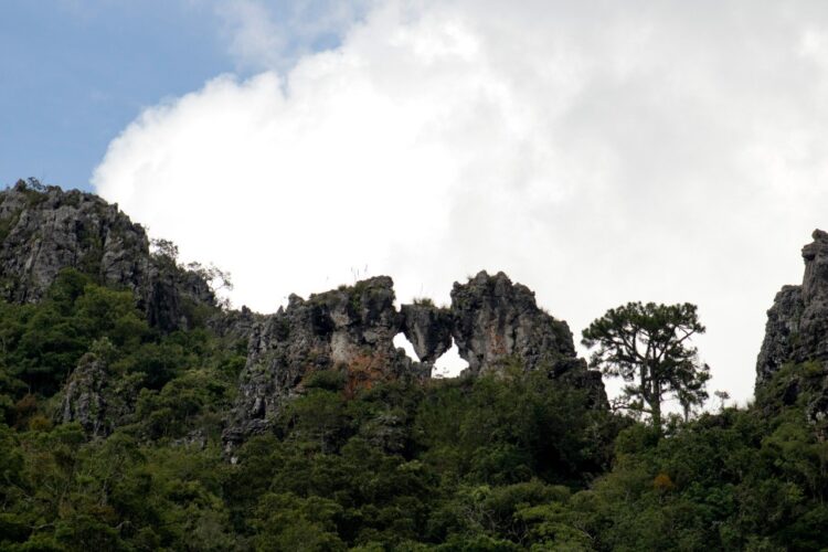 Refrenda Gobierno compromiso con la protección y conservación de Áreas Naturales Protegidas