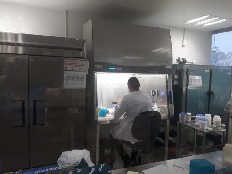Tamaulipas: 49 mil 683 personas se han recuperado del Covid y 5 mil 182 han muerto