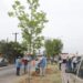 Emprenderá el Municipio campaña de reforestación