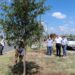 Arranca Sanmiguel reforestación de NLD en Calzada de los Héroes