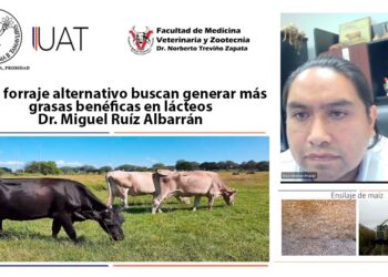 Con forraje alternativo buscan generar más grasas benéficas en lácteos, como omega-3