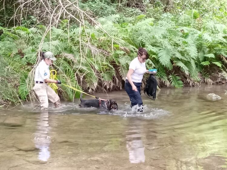 Capacitan a binomios caninos para investigación de personas desaparecidas en Tamaulipas