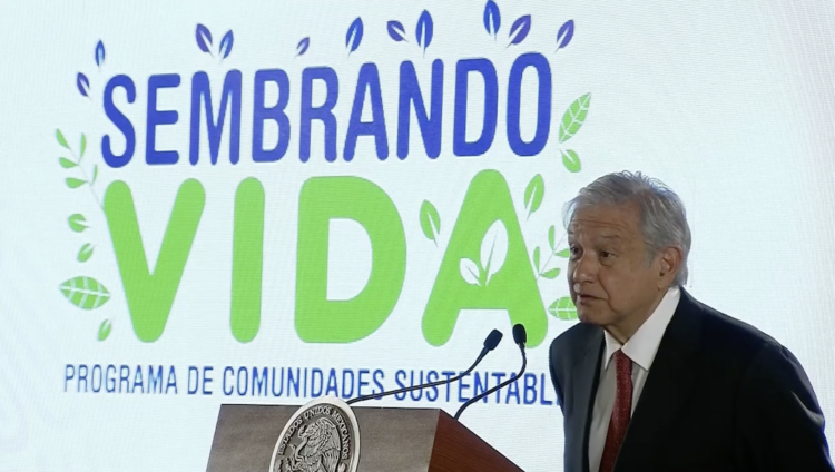 Anuncia López Obrador ampliación de Sembrando Vida 