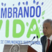 Anuncia López Obrador ampliación de Sembrando Vida 
