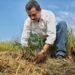 Impulsa Gobierno de Tamaulipas reforestación y preservación de parques estatales 