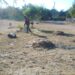 Realiza gobierno municipal mejoras en comunidades rurales de Victoria