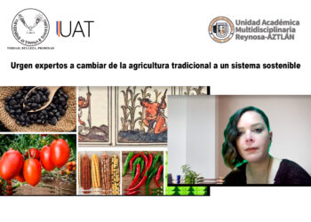 Urgen expertos a cambiar de la agricultura tradicional a un sistema sostenible