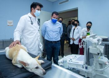 Constató Rector de la UAT trabajo del Hospital Veterinario de Pequeñas Especies