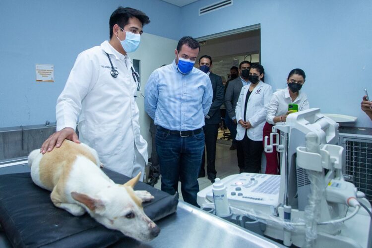Constató Rector de la UAT trabajo del Hospital Veterinario de Pequeñas Especies