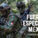 Llegan a NLD, Tamaulipas, 250 soldados de fuerzas especiales de élite de la SEDENA