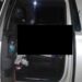 Asesinan en Jalisco a ex candidata a diputada federal del PRI en San Luis Potosí