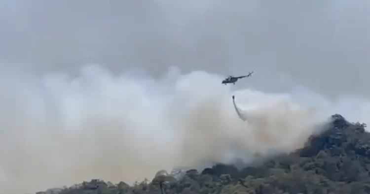 Continúan trabajos para sofocar incendio en la Biosfera ‘El Cielo’; reportan control de 70%