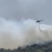 Continúan trabajos para sofocar incendio en la Biosfera ‘El Cielo’; reportan control de 70%
