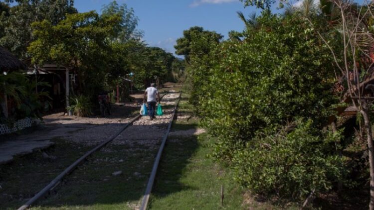 Advierte AMLO a especuladores chantajistas que no frenarán el Tren Maya; puede expropiarles