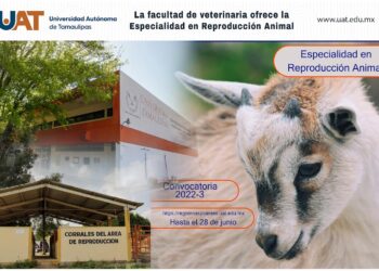Ofrece UAT Especialidad en Reproducción Animal; cuenta con becas del PNPC-CONACYT
