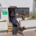 Instruye Mesa de Seguridad inspección periódica en edificio de Palacio Municipal