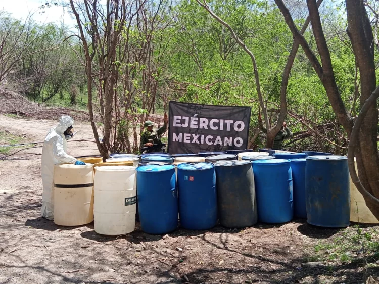 La Sedena asegura en junio 77 fábricas de sustancias ilegales  en territorio del cártel de Sinaloa