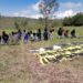 Militares detienen a 37 presuntos miembros del CJNG en un campamento de Michoacán