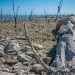 Ponen a 34 municipios de Tamaulipas en ‘alerta roja’ ante sequía que trae consigo la canícula