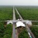 Se han reanudado las obras del Tramo 5 del Tren Maya, reconoce Fonatur 