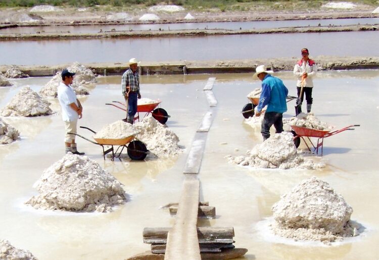 Coloca la SHCP en $12 billones el valor potencial del litio en Sonora, más de un tercio del PIB de 2022